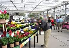 Visitors taking pictures of the Sakata varieties.